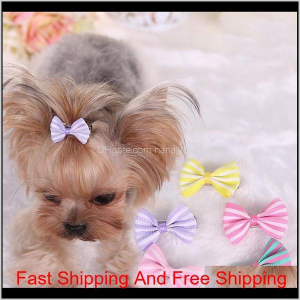 

dog hair bows clip pet cat puppy grooming striped bowls for hair accessories designer 5 colors mix hh7-1262 ipzpu 6kbpf