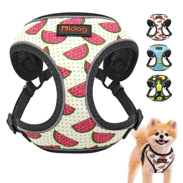 

dog collars & leashes cute cat harness fruit printed puppy pet nylon mesh small dogs chihuahua vest reflective for yorkshire