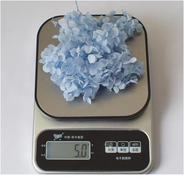 

5g/lot hydrangea real dried flower dry plants for aromatherapy candleepoxy pendant necklace jewelry making craft diy acc qylqtj