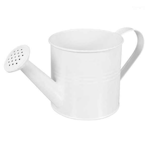 

watering equipments pot indoor outdoor flowers succulent can with spray spout1