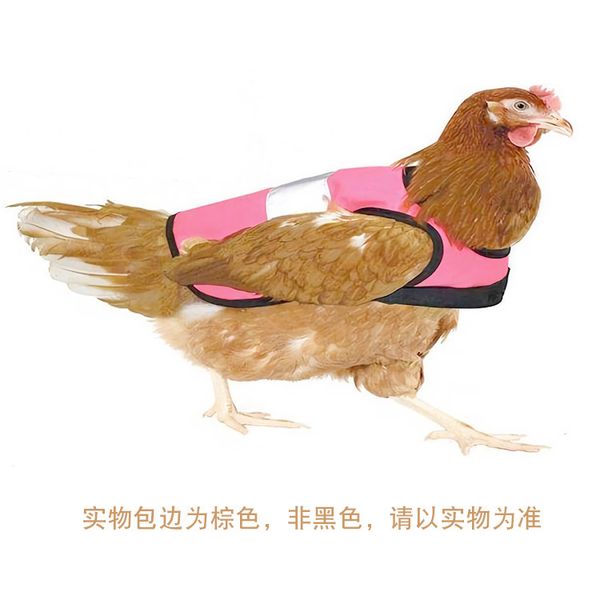 

pet clothing duck vt reflective cloak autumn and winter waterproof chicken