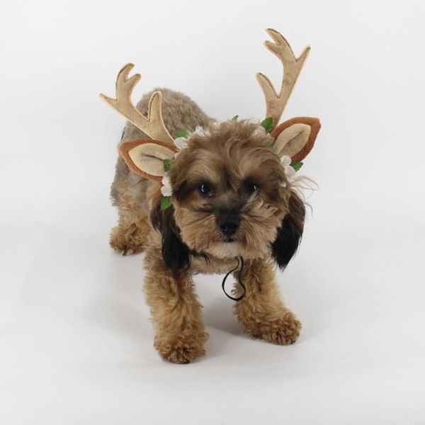 

cat costumes reindeer hat comfortable antler headband for christmas pets dress up year festival decoration cats accessories funny