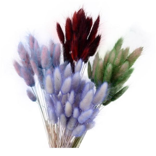 

30pcs gradient lagurus ovatus natural dried flowers bouquet diy wedding home christmas decoration rabbit tail grass real jllfbn