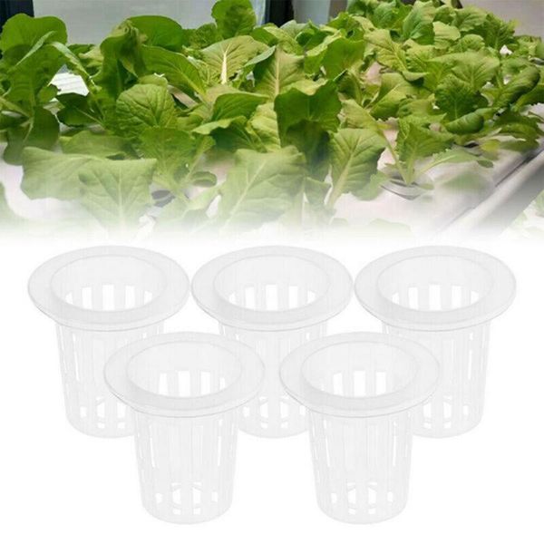 

nursery pots 50pcs slotted mesh soilless culture vegetable net cups cylinders sponge grow planters &