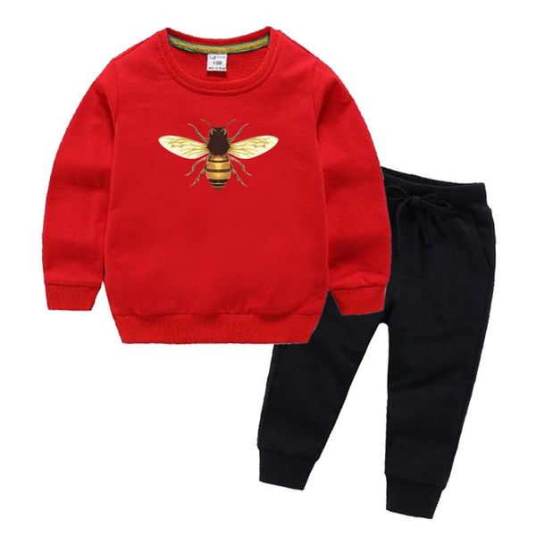 

gc honeybee brand luxury designer children tracksuit boy hoodies baby sweater shirt pants 2pcs suit kids boys and girls outfits, White