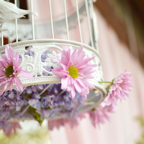 

2pcs moat hook feeder insect guard hummingbird feeders accessory hooks