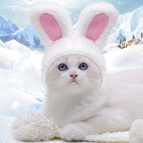 

cat costumes pet dog cap costume funny hat year party christmas cosplay accessories po props headwear