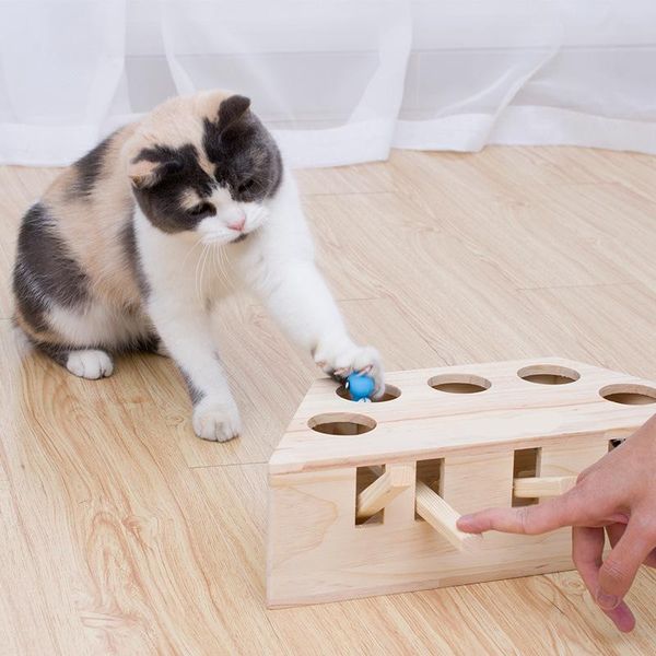 

cat hunt toy funny cat hit hamster box with 3/5-holed solid wooden interactive funny toy chase mouse