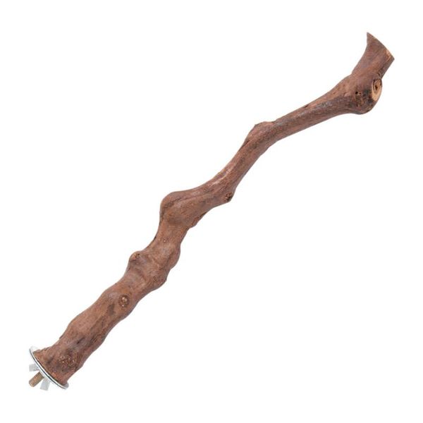 

other bird supplies parrot standing stick activity vine stand playing