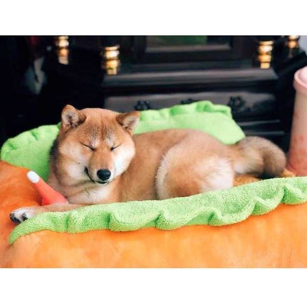 

dog bed winter warm pet house creative fashion sofa cushion supplies puppy cat soft sleeping mat cozy nest kennel