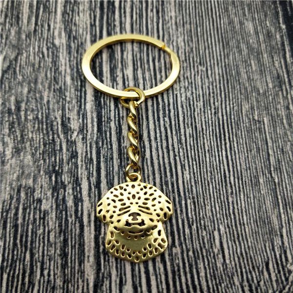 

keychains lagotto romagnolo key chains fashion pet dog jewellery car keychain bag keyring for women men, Silver