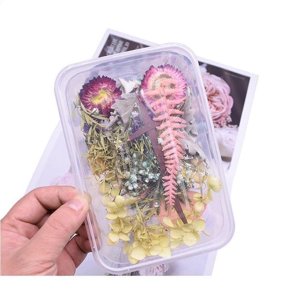 

1 box hybrid real dried flowers plant for aromatherapy candle epoxy resin pendant necklace jewelry making craft diy acc jllxfv