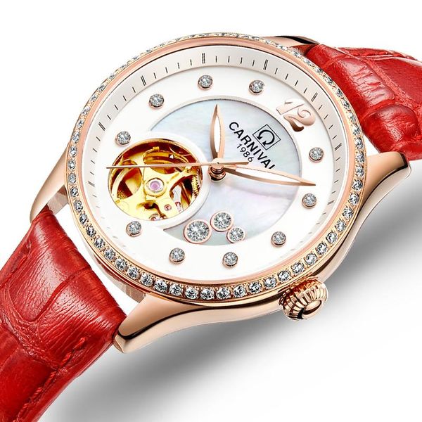 

wristwatches women watches carnival watch automatic mechanical wrist sapphire waterproof relogio feminino c0682, Slivery;brown