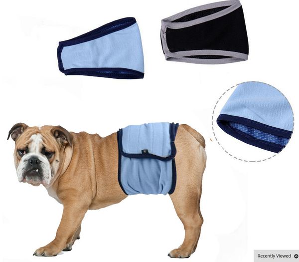 

pet cloth pet physiological pants dog menstrual belt breathable mh diaper