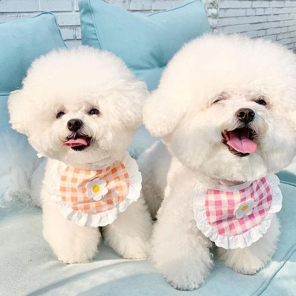 

cat collars & leads cute dog flower bibs saliva towel poodle bichon frise small bib accessories collar