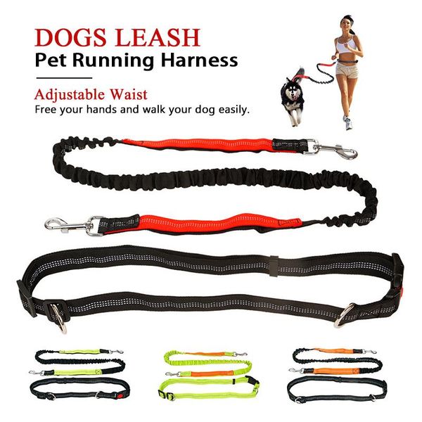

dog collars & leashes reflective dogs leash running elasticity hand y pet products harness collar jogging lead and adjustable waist rop
