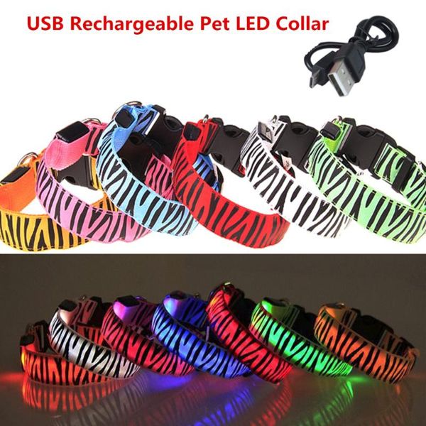 

n20 fashion zebra pattern dog led collar usb rechargeable 2.5 cm width nylon light dog collar light-emitting led luminous