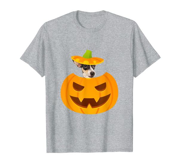 

Rat Terrier Peeking out of Jack-o-Lantern T-Shirt, Mainly pictures