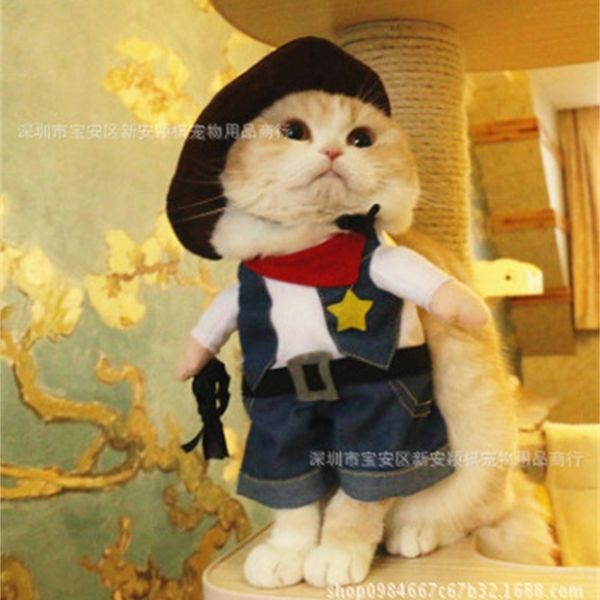 

pet turned cowboy cloth into funny cat teddy dog pet