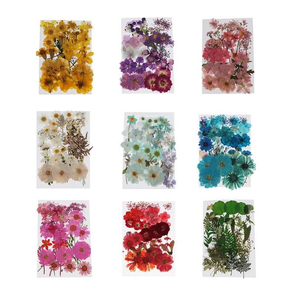 

natural pressed dried flowers for diy scrapbooking card making face decoration