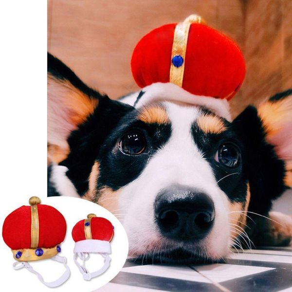 

dog apparel pet crown hat puppy birthday party cap headwear headdress decoration costume 67jb