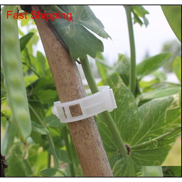 

100pcs tomato plant support clips plastic quality garden vegetable flower vine bushes plant cl qylemo homes2011