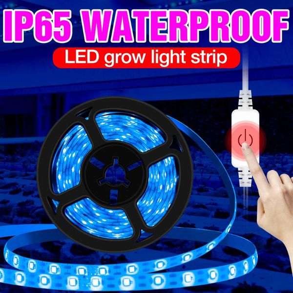 

grow lights usb touch dimming plant growth light strip 0.5m 1m 2m 3m waterproof phyto lamp led indoor full spectrum flower seed