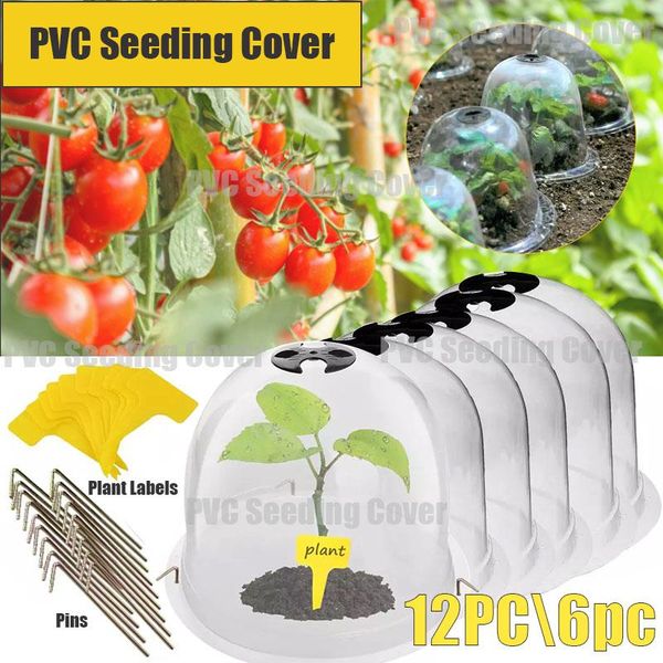 

planters & pots 12/6pcgarden vegetable plant bell jar dome antie transparent plastic cover mini greenhouse growth protector wholesale
