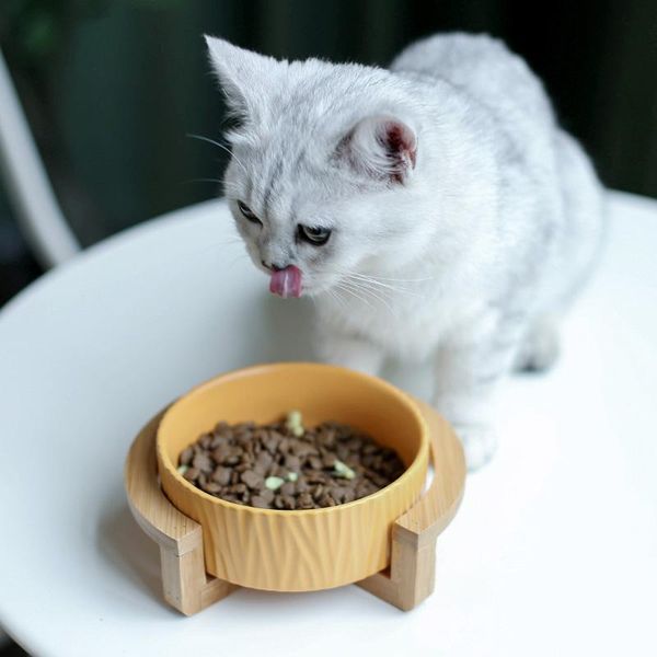 

cat ceramic bowls pet dog water feeder for puppy small medium dogs with wood stand pet supplies product accessories #p006