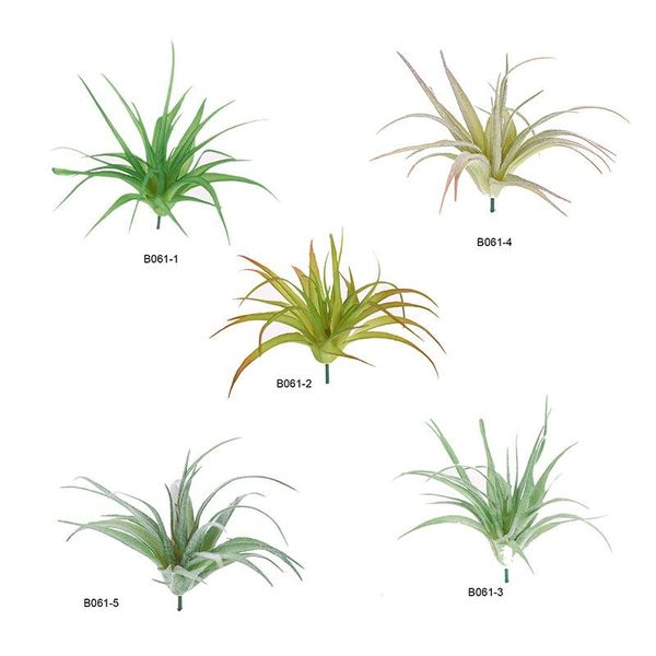 

model small pot plant more plant medium air plants more model diy micro landscape