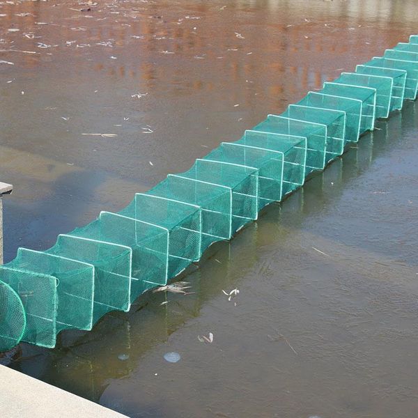 

fishing accessories ly shrimp cage net catcher trap foldable portable for crab crayfish lobster sd669