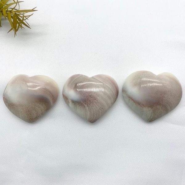 

natural heart shaped fossil sun shell mineral specimen collection home decoration gifts natural stones and minerals
