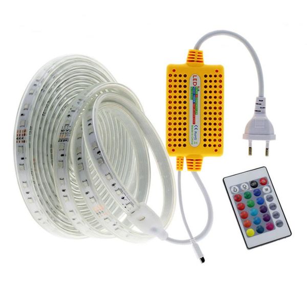 

strips ac 220v led strip waterproof tape fita light neon flexible ribbon ledstrip with remote controller