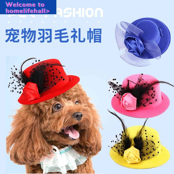 

hooded clothing suppliesmulticolor clothes european hat celebrity dog gentleman cat and headdress