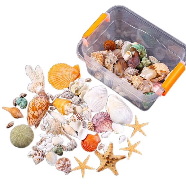 

decorations sea shells ornaments aquarium decor 3 choice mixed beach seashells starfish snail coral for fish tank decoration