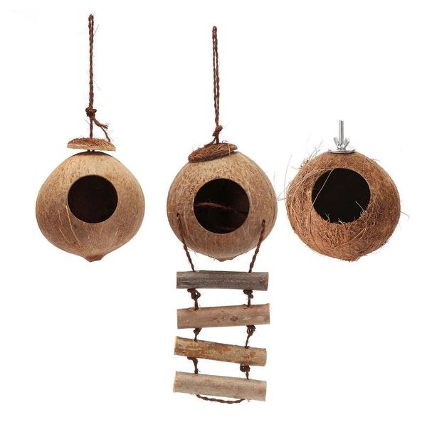 

other bird supplies natural coconut shell small pet parakeets finches sparrows birds house cage with hanging lanyard & ladder