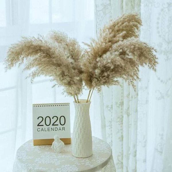 

decorative flowers & wreaths light color wedding bunch natural dried pampas decoration reed beautiful grass flower phragmites christmas g7o2