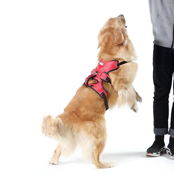 

dog apparel chest strap with traction rope medium large chain leash collar k9