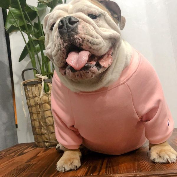 

dog apparel [mpk wear] sweater for fat dogs, suitable english bulldogs, big-chested chest 70cm to 85cm