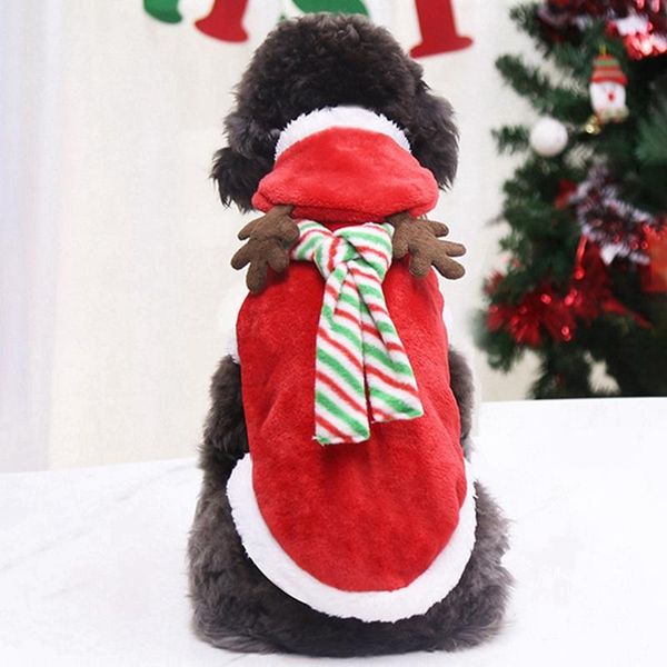 

dog apparel clothes jacket coat small dogs pets christmas santa costumes holiday party dressing up clothing