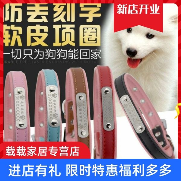 

dog lost phone number teddy brand golden hair lettering collar small and medium sized dog bell