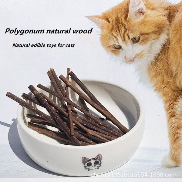 

cat toys 5pcs/set cleaning teeth silvervine actinidia sticks tooth care pet supplies