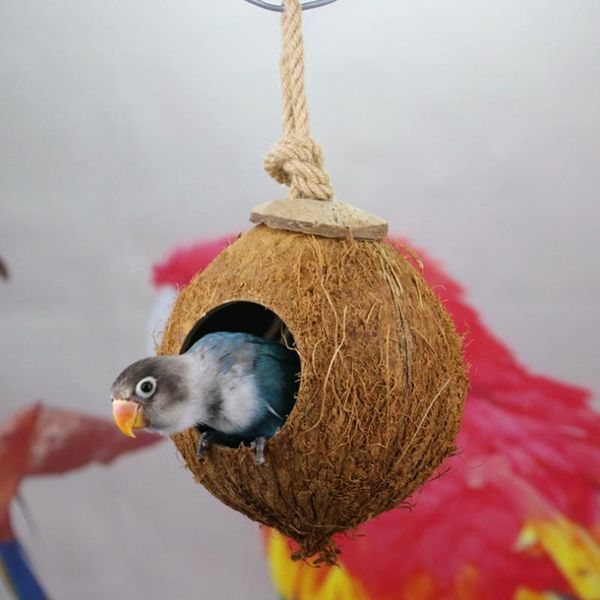 

other bird supplies 1 pcs parrot toy nest natural coconut shell house cage feeder hamster comfortable bed hanging toys accessories