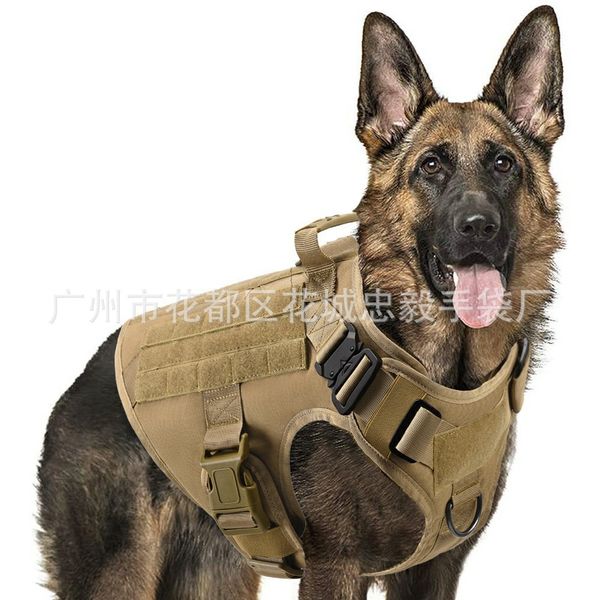 

tactical outdoor eye snake clothing pet dog sports training vest equipment