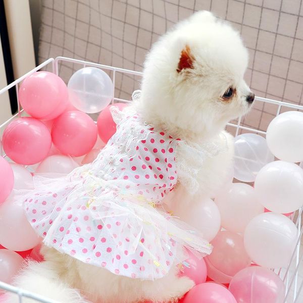 

dog apparel dress pet clothes for small dogs dresses polka dot lace embroidery mesh skirt roupa para cachorro