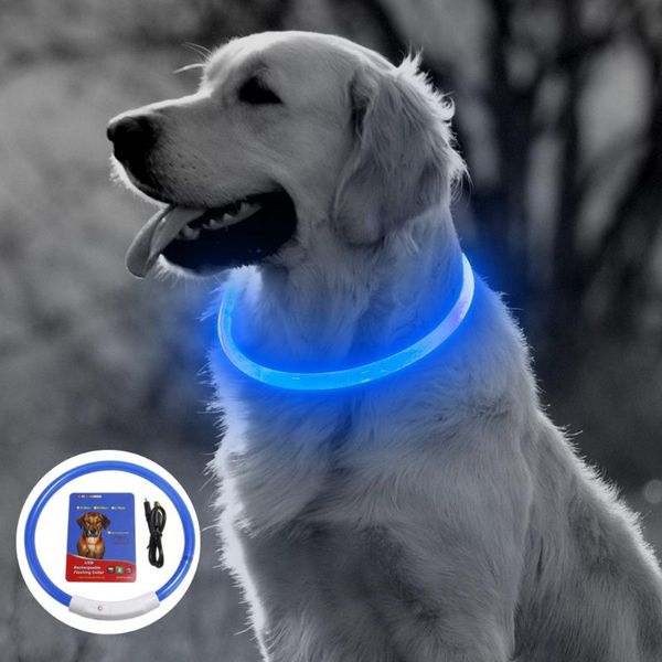 

dog collars & leashes pet collar night safety flashing glow leash plastic led dogs luminous fluorescent charging for