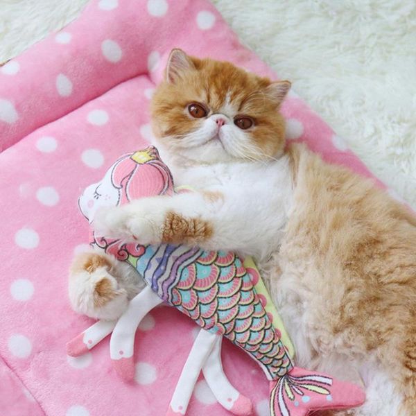 

cat toys dishykooker cartoon fish shape teeth grinding sound toy with catnip for pet cats