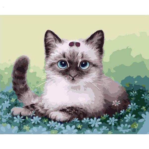 

paintings cat painting by number animal color drawing on canvas diy kits handpainted picture home decoration wall art work room