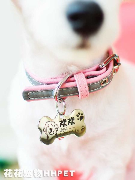

dog tag