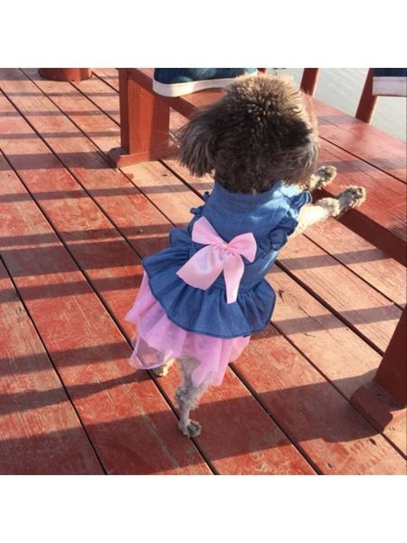 

pet winter warm skirt dog girl princess dress fancy mesh dress doggie